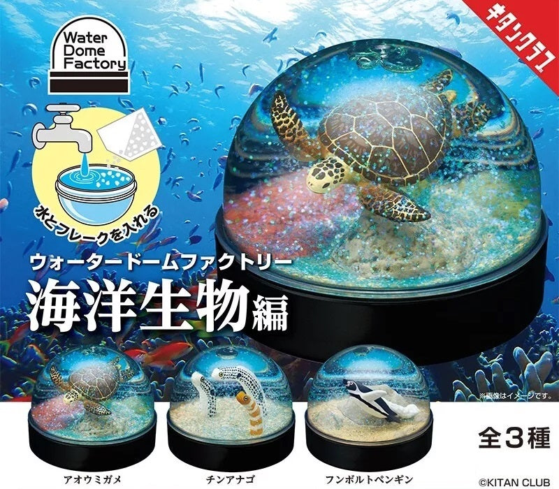 Water Dome Factory Marine Life Edition
