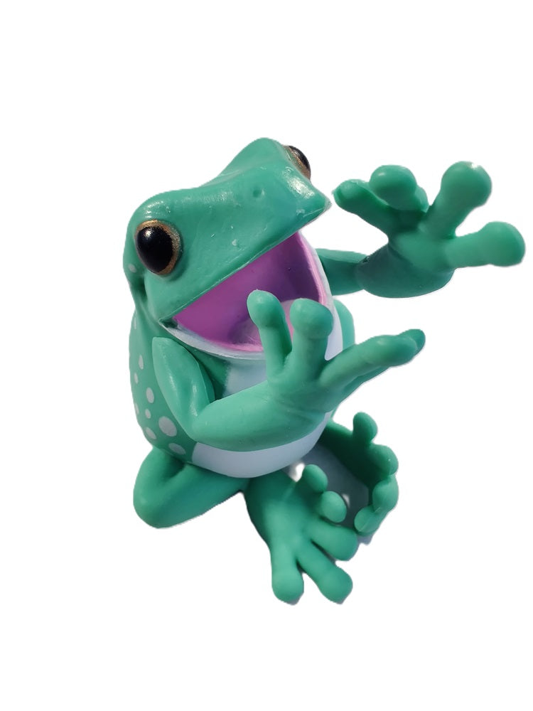 White's Tree Frog – view 2