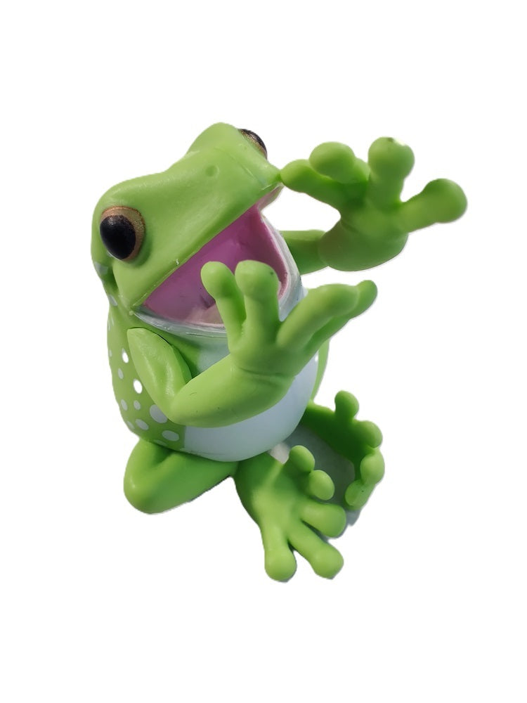 White's Tree Frog – view 3