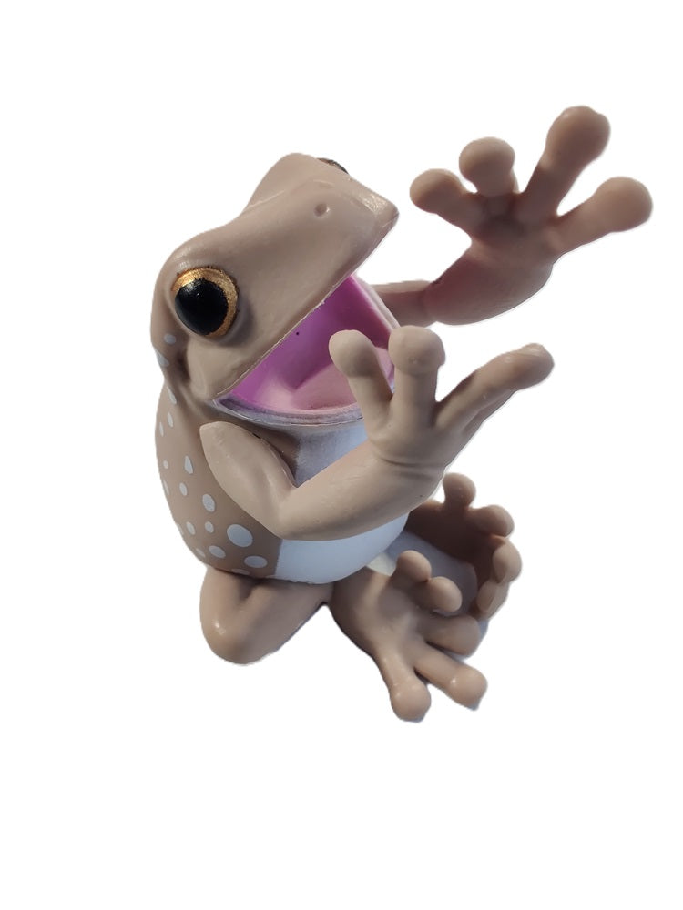 White's Tree Frog – view 4