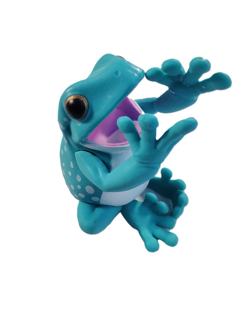 White's Tree Frog – view 5