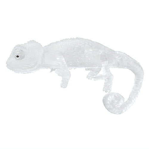 Yubinori Chameleon – view 4